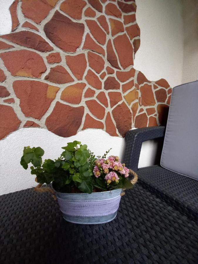 Apartman Erika - Bešeňová エクステリア 写真